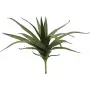 EUROPALMS Aloe (EVA), teko, vihreä, 50 cm (82530570)