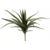 EUROPALMS Aloe (EVA), teko, vihreä, 50 cm (82530570)