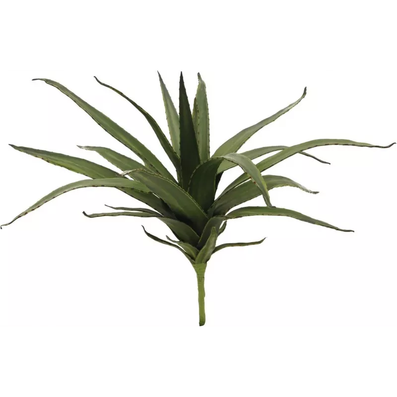 EUROPALMS Aloe (EVA), teko, vihreä, 50 cm (82530570)