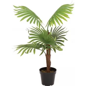 EUROPALMS viuhkopalmu tekokasvi, 88 cm, vihreä, musta ruukku 82509301
