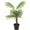 EUROPALMS viuhkopalmu tekokasvi, 88 cm, vihreä, musta ruukku 82509301
