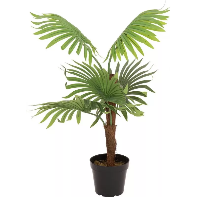 EUROPALMS viuhkopalmu tekokasvi, 88 cm, vihreä, musta ruukku 82509301