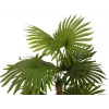 EUROPALMS viuhkopalmu tekokasvi 130 cm 82509302