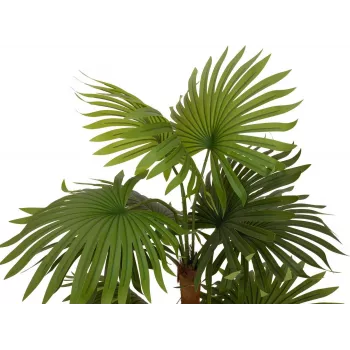 EUROPALMS viuhkopalmu tekokasvi 130 cm 82509302
