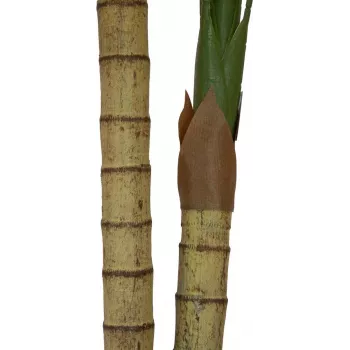 EUROPALMS arecapalmu, 2-runkoinen, tekokasvi, 120 cm (82509410)
