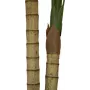 EUROPALMS arecapalmu, 2-runkoinen, tekokasvi, 120 cm (82509410)