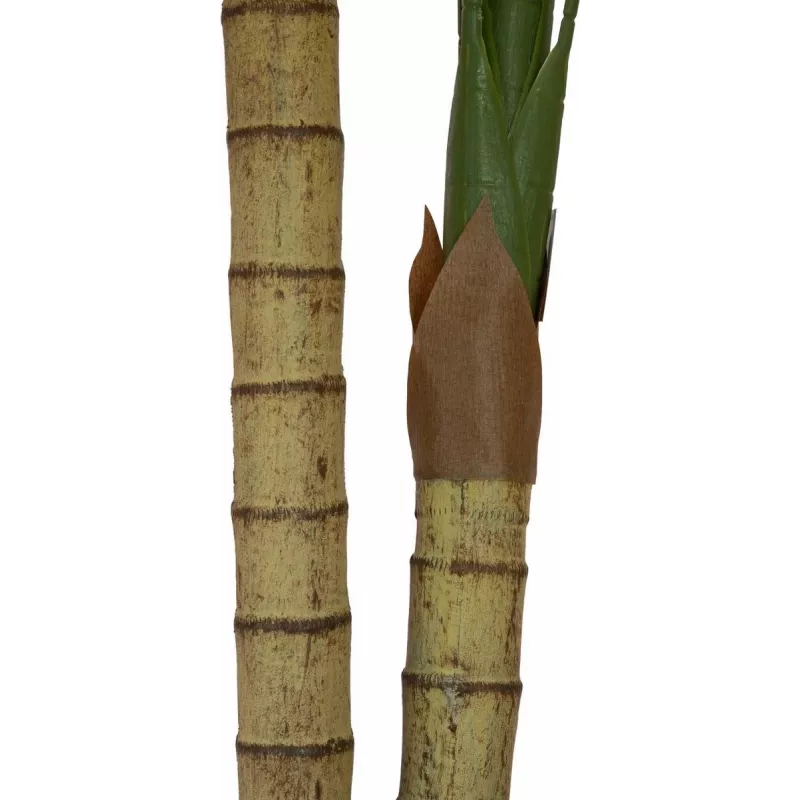 EUROPALMS arecapalmu, 2-runkoinen, tekokasvi, 120 cm (82509410)
