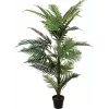 EUROPALMS arecapalmu tekokasvi, 150 cm 82509414