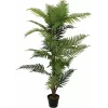 EUROPALMS arecapalmu tekokasvi, 150 cm 82509414