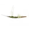 EUROPALMS koristepallo 3,5 cm, vaaleanvihreä, kiiltävä, 48 kpl 8350129X