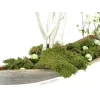 EUROPALMS koristepallo 3,5 cm, vaaleanvihreä, kiiltävä, 48 kpl 8350129X