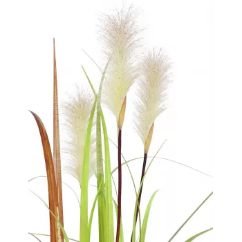 EUROPALMS Wildwuchs tekokasvi, 120 cm 82600123