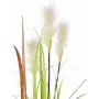 EUROPALMS Wildwuchs tekokasvi, 120 cm 82600123