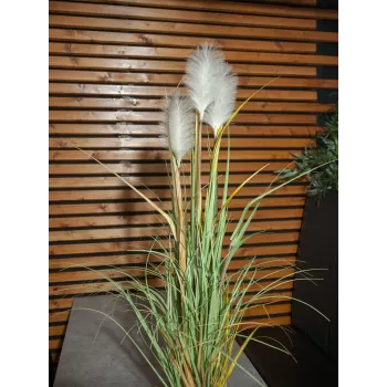 EUROPALMS Wildwuchs tekokasvi, 120 cm 82600123
