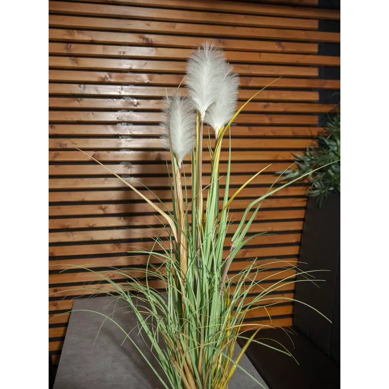 EUROPALMS Wildwuchs tekokasvi, 120 cm 82600123