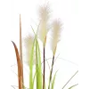 EUROPALMS Wildwuchs tekokasvi, 120 cm 82600123