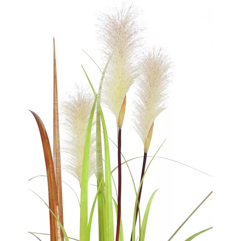 EUROPALMS Wildwuchs tekokasvi, 120 cm 82600123