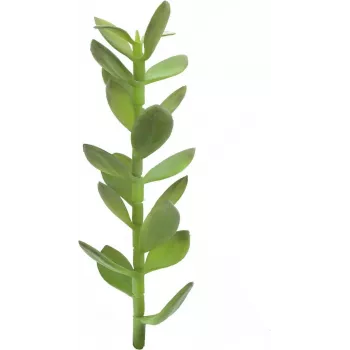 EUROPALMS rahapuuverso tekokasvi, 30 cm 82809010