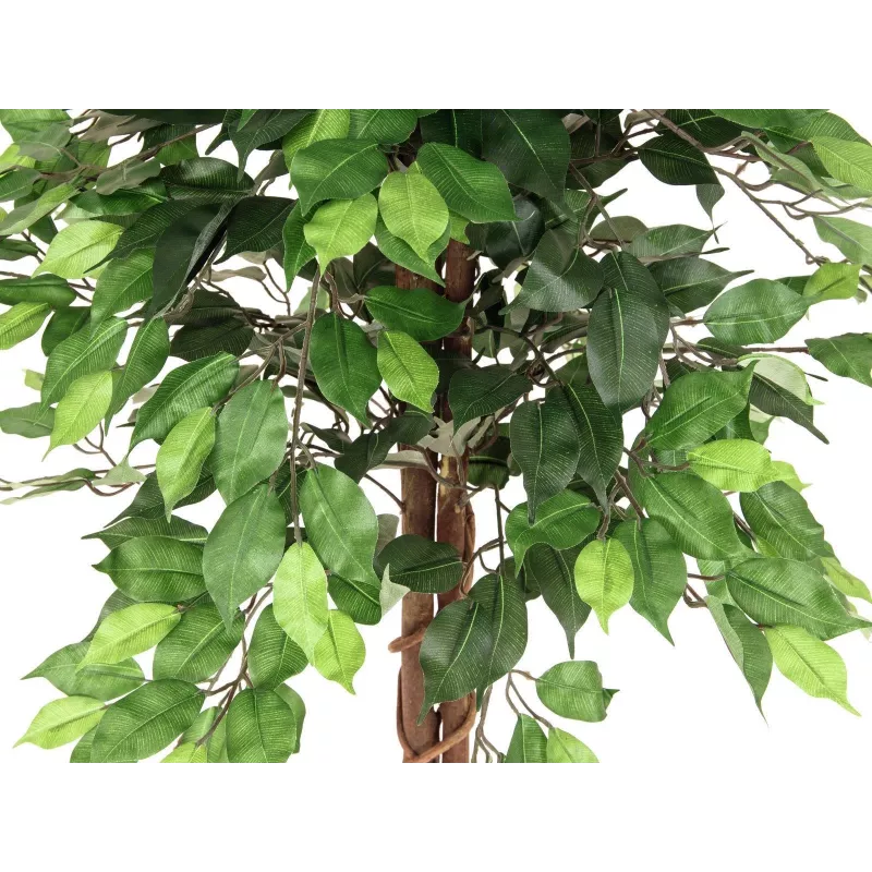 EUROPALMS Ficus Benjamina monirunkoinen tekokasvi, 150cm 82506125