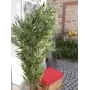 EUROPALMS bambu monirunkoinen tekokasvi, 180 cm 82509236