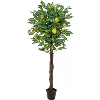 EUROPALMS tekositruunapuu, 150cm 82507815