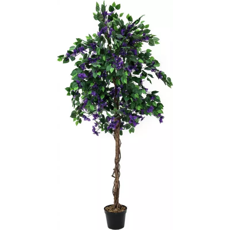 EUROPALMS Bougainvillea laventeli tekokasvi 180cm 82507036