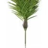 EUROPALMS Phoenix Palm Luxor tekokasvi, 300cm 82510723