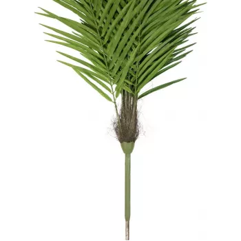 EUROPALMS Phoenix Palm Luxor tekokasvi, 300cm 82510723