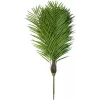 EUROPALMS Phoenix Palm Luxor tekokasvi, 300cm 82510723