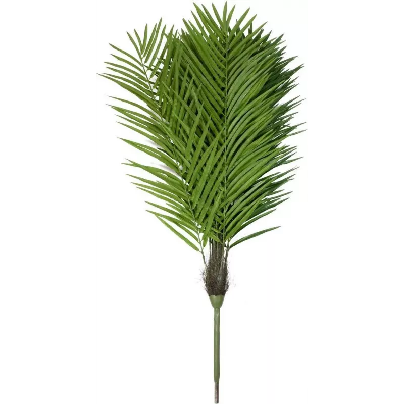 EUROPALMS Phoenix Palm Luxor tekokasvi, 300cm 82510723