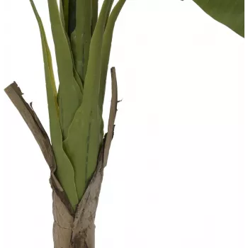 EUROPALMS banaanipuu tekokasvi, 145 cm 82509504