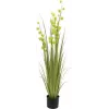 EUROPALMS pompom-heinä tekokasvi, 122 cm, vihreä 82500136