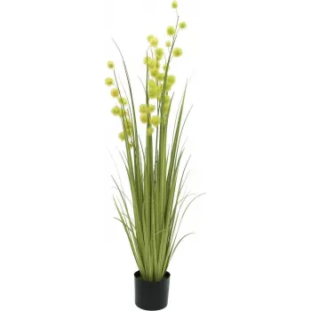 EUROPALMS pompom-heinä tekokasvi, 122 cm, vihreä 82500136