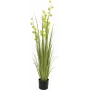 EUROPALMS pompom-heinä tekokasvi, 122 cm, vihreä 82500136