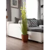 EUROPALMS pompom-heinä tekokasvi, 122 cm, vihreä 82500136