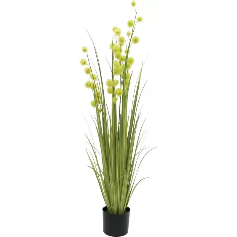 EUROPALMS pompom-heinä tekokasvi, 122 cm, vihreä 82500136
