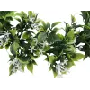 EUROPALMS jasmiiniseppele, 30 cm 83500503