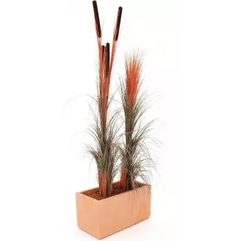 EUROPALMS tekoruokoruoho, vaaleanruskea, 127 cm 82505852