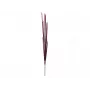 EUROPALMS Magic Onion Grass tekokasvi, roosa, 134 cm 82532003