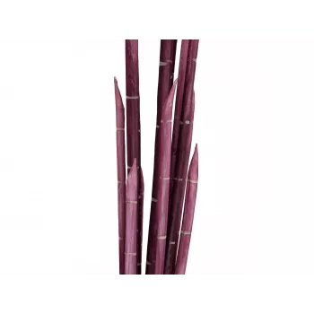 EUROPALMS Magic Onion Grass tekokasvi, roosa, 134 cm 82532003