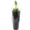 EUROPALMS tekonurmi-asetelma, 90 cm, vihreä, mustassa ruukussa 82600137