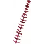 EUROPALMS tekokristallieukalyptusoksa, viininpunainen, 81cm 82600203