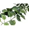 EUROPALMS Pothos-pensasaita Classic, tekokasvi, 70cm (82502201)