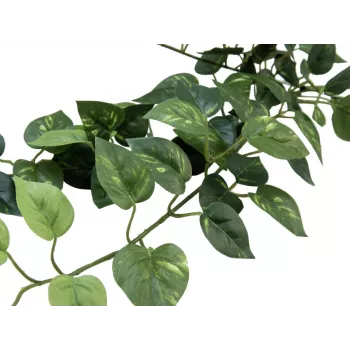 EUROPALMS Pothos-pensasaita Classic, tekokasvi, 70cm (82502201)