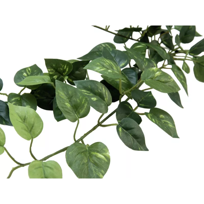 EUROPALMS Pothos-pensasaita Classic, tekokasvi, 70cm (82502201)