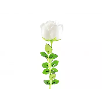 EUROPALMS Crystal Rose tekokukka, valkoinen, 81 cm, 12 kpl 82600208