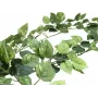 EUROPALMS Pothos-garland Classic, tekokasvi, 180cm 82503728