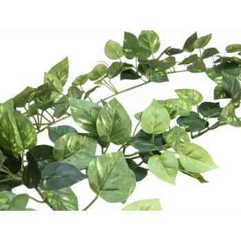 EUROPALMS Pothos-garland Classic, tekokasvi, 180cm 82503728