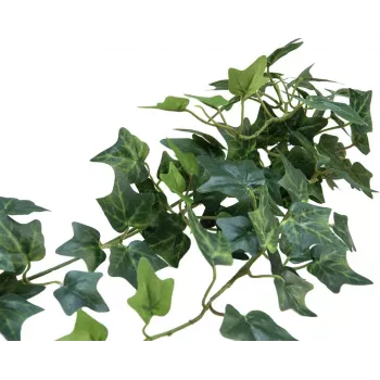 EUROPALMS tekoköynnös-pensas näkösuoja Classic, 70cm 82502208