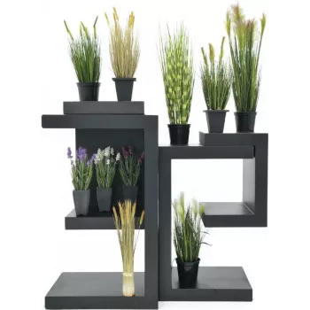 EUROPALMS tekovehnä alkukesä, 60cm 82505866